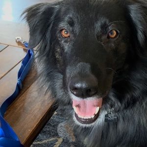 Meet your Posher, Alyson